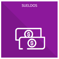 63 – VIII- b. Tabulador de Sueldos