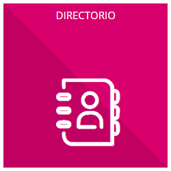 63-VII. Directorio